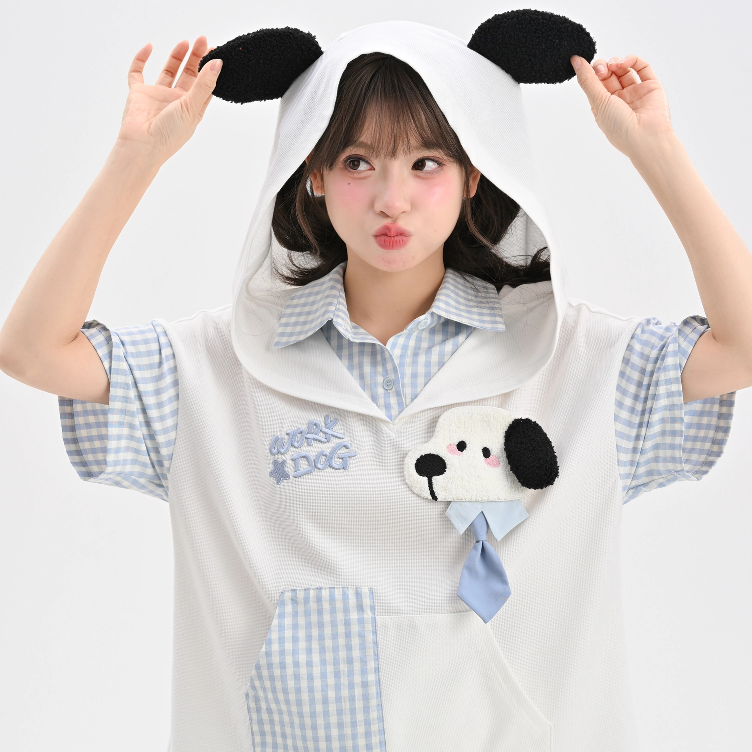 SNBL T