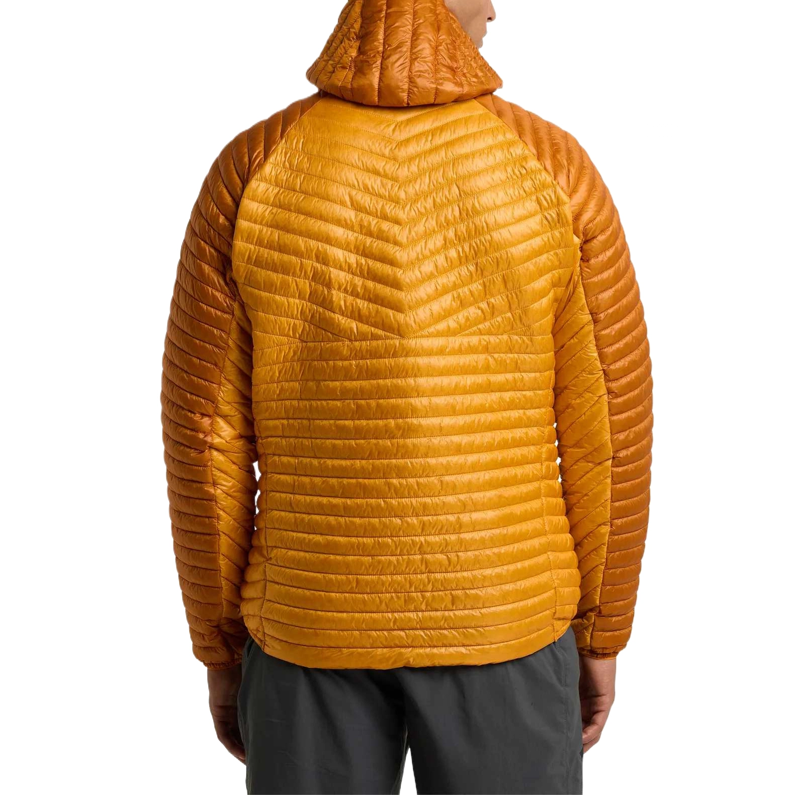 HAGLFS LIM Mimic