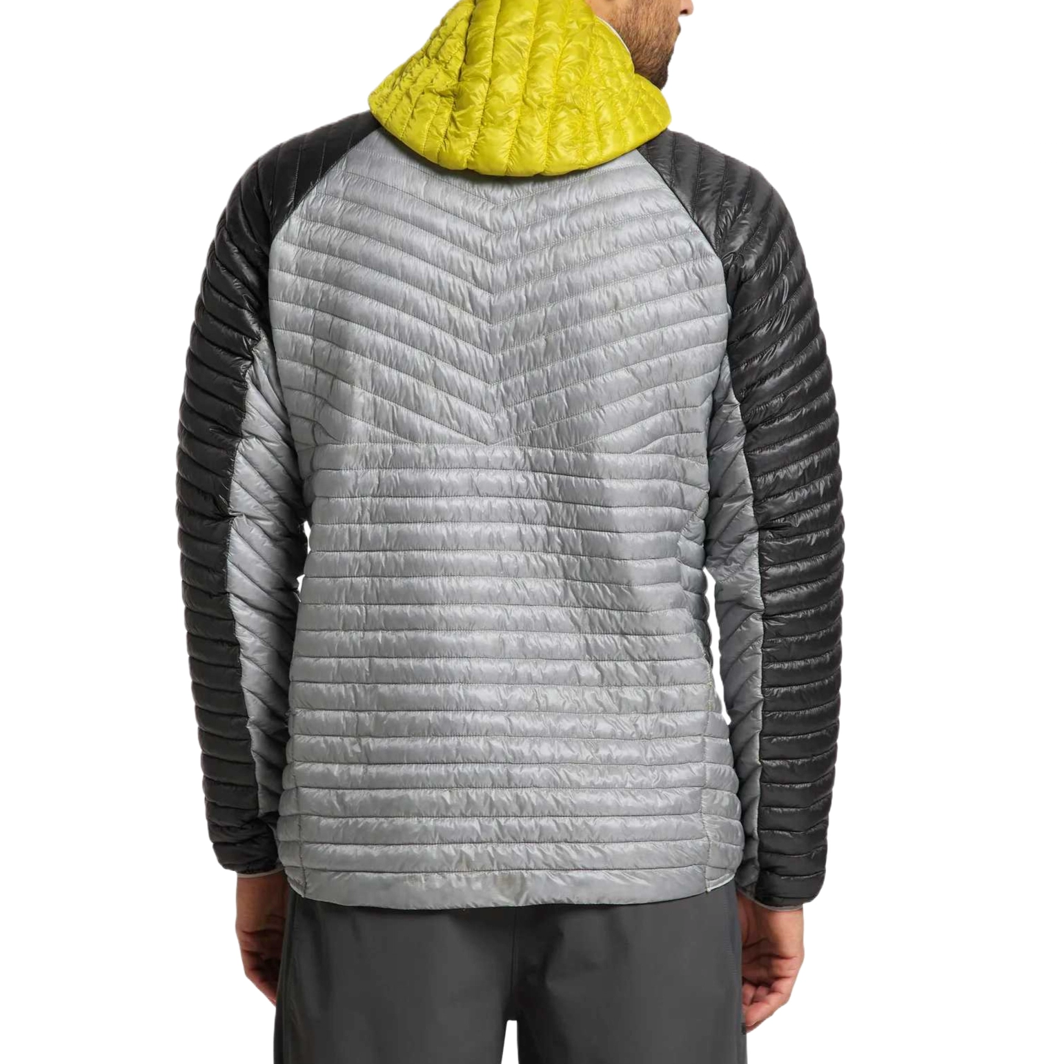 HAGLFS LIM Mimic
