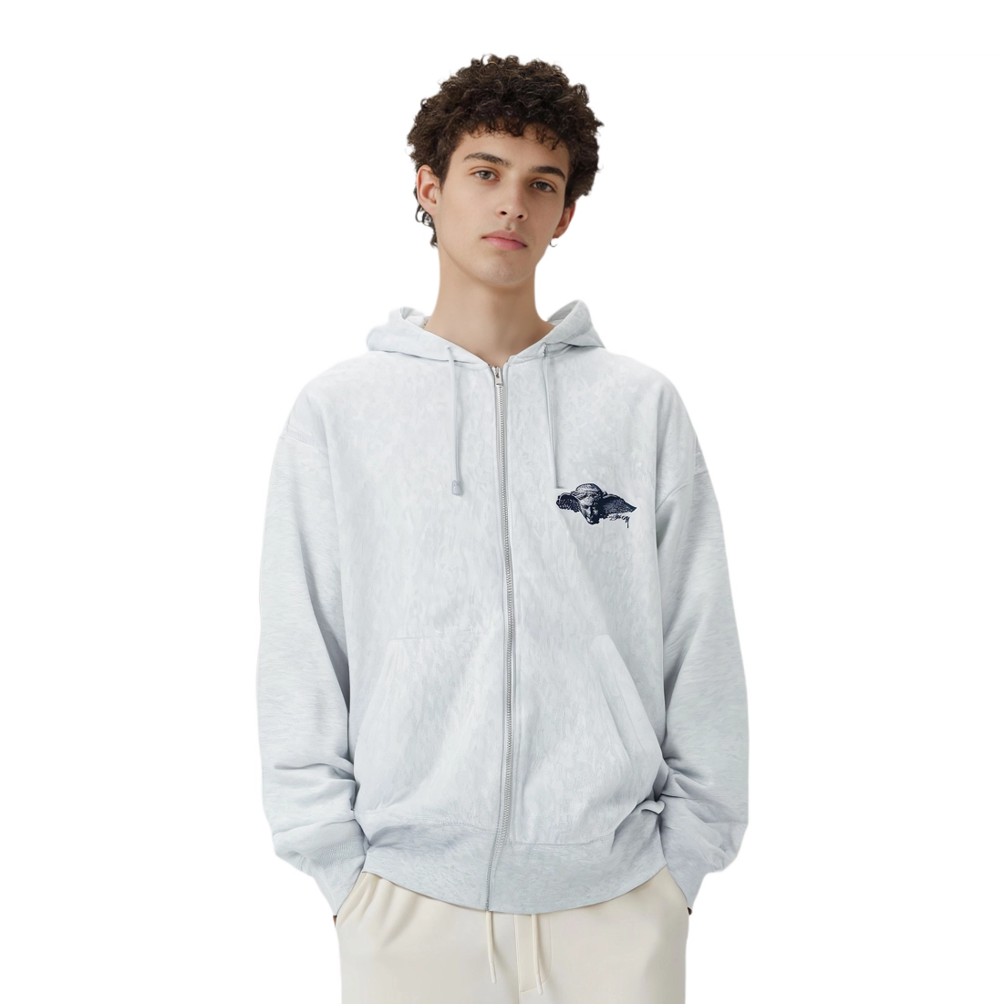 Stussy FW24 HYPNOS ZIP HOODIE