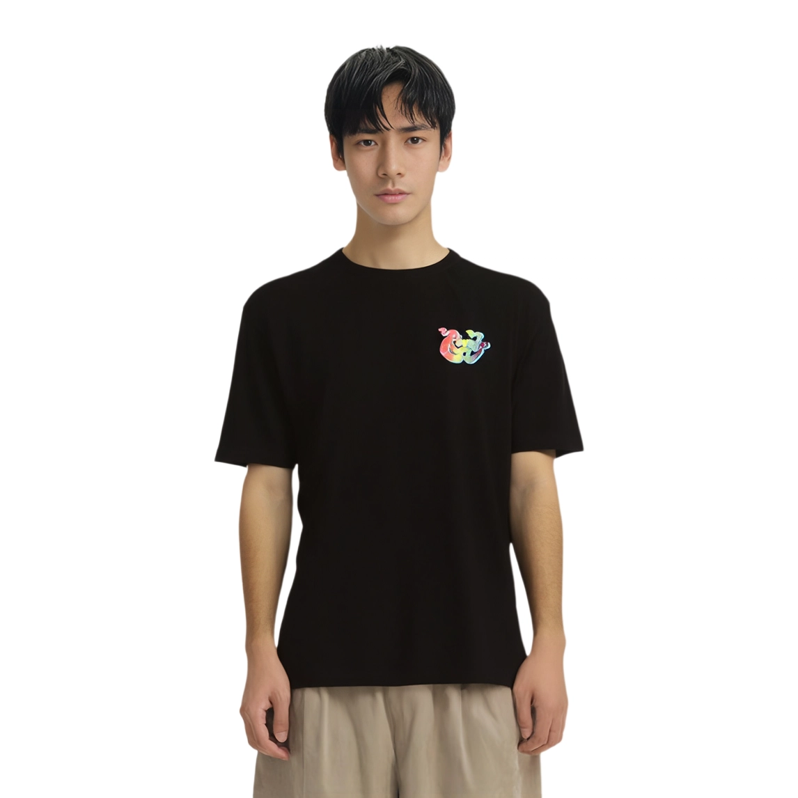 RIPNDIP T
