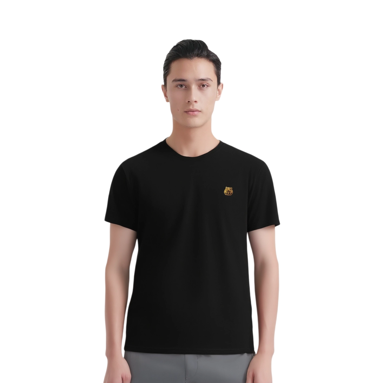 PIERRE CARDIN T
