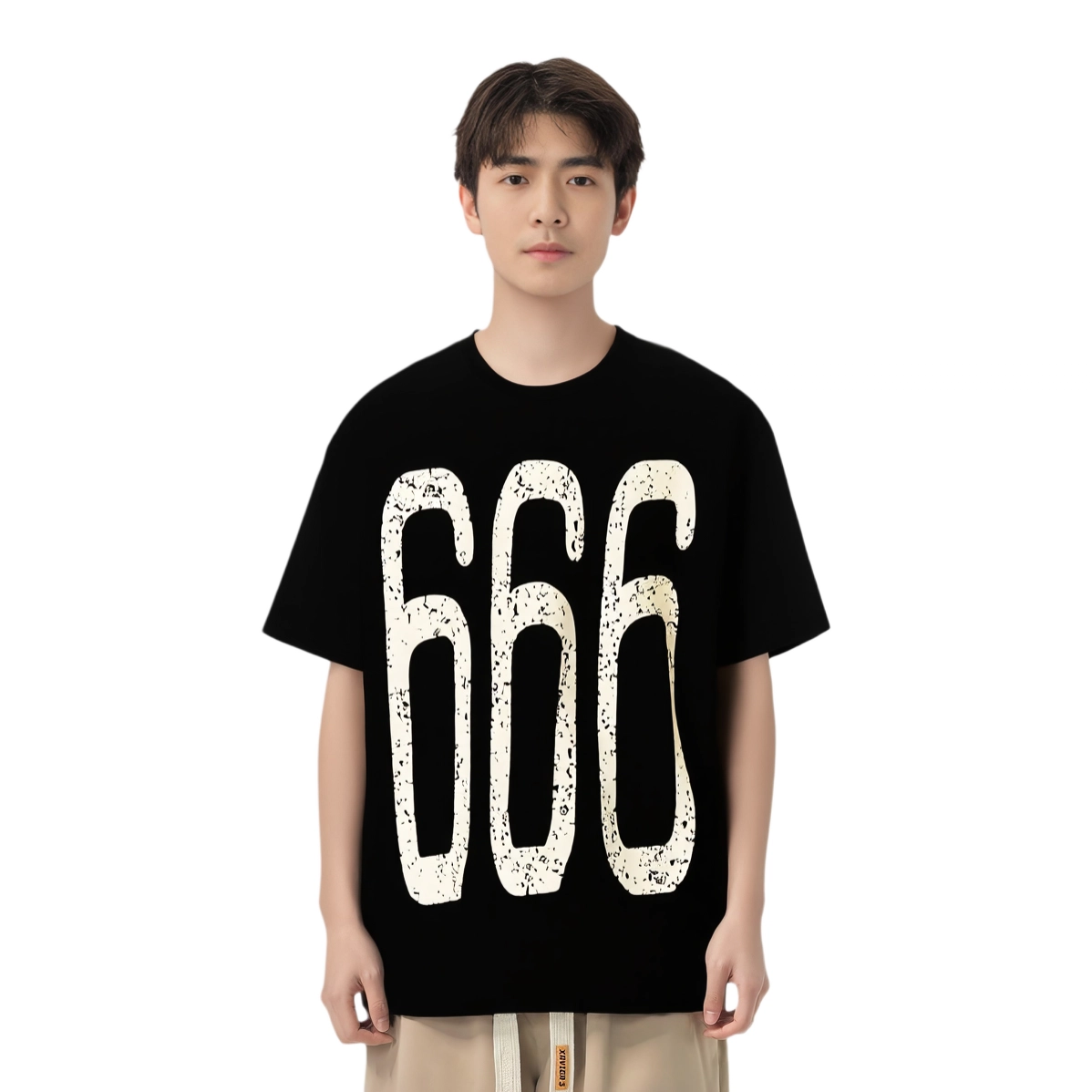 ins666T