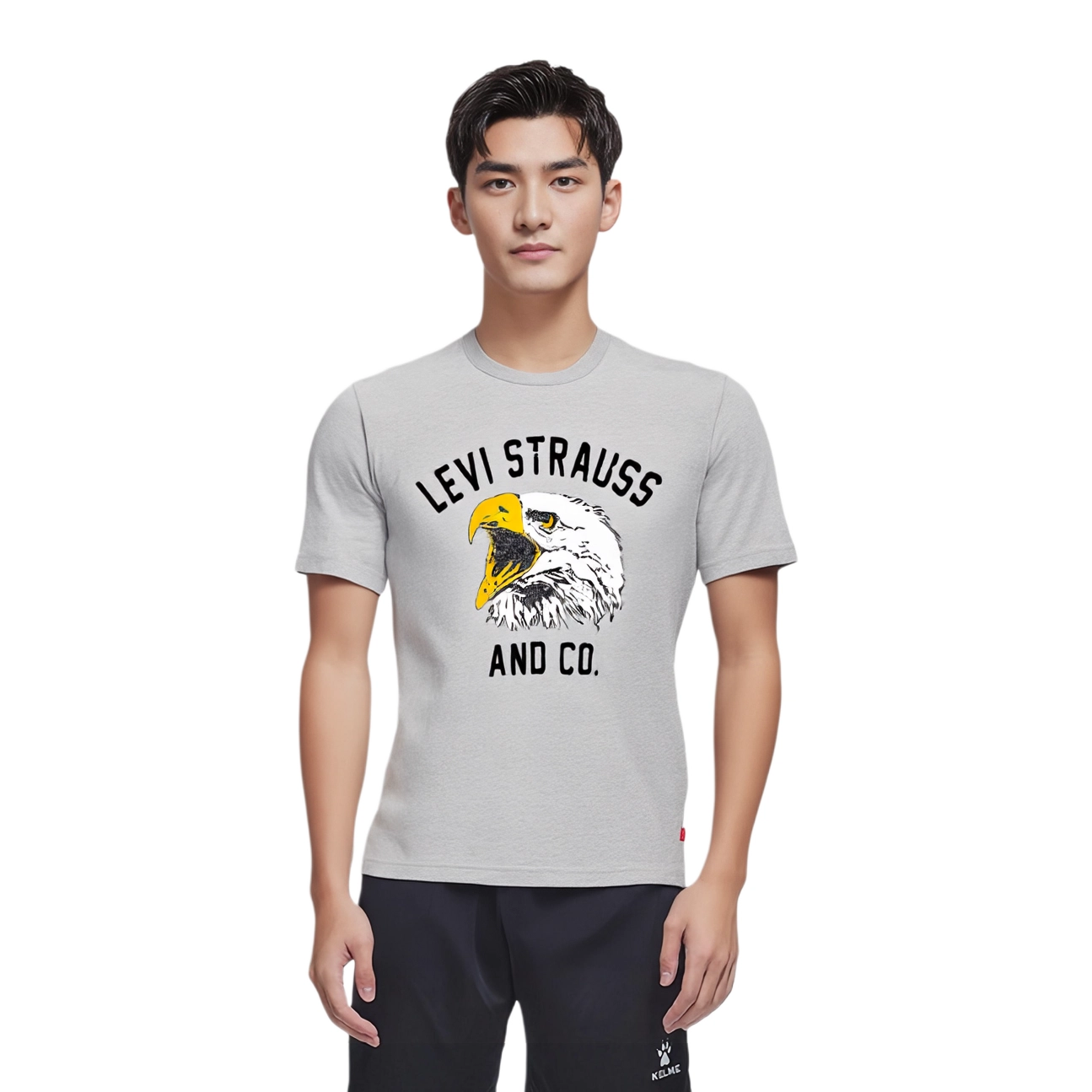 levis T