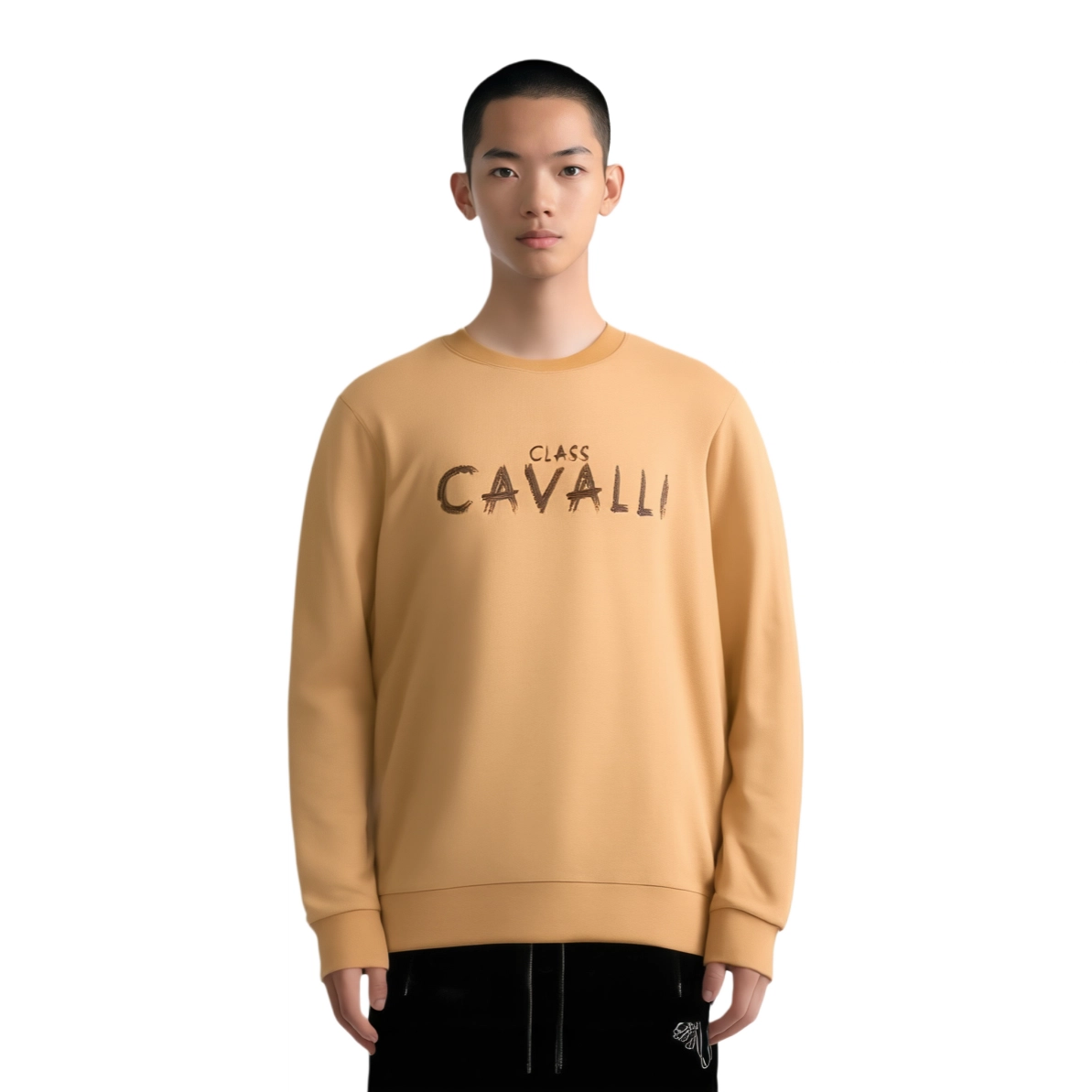 Cavalli Class logo