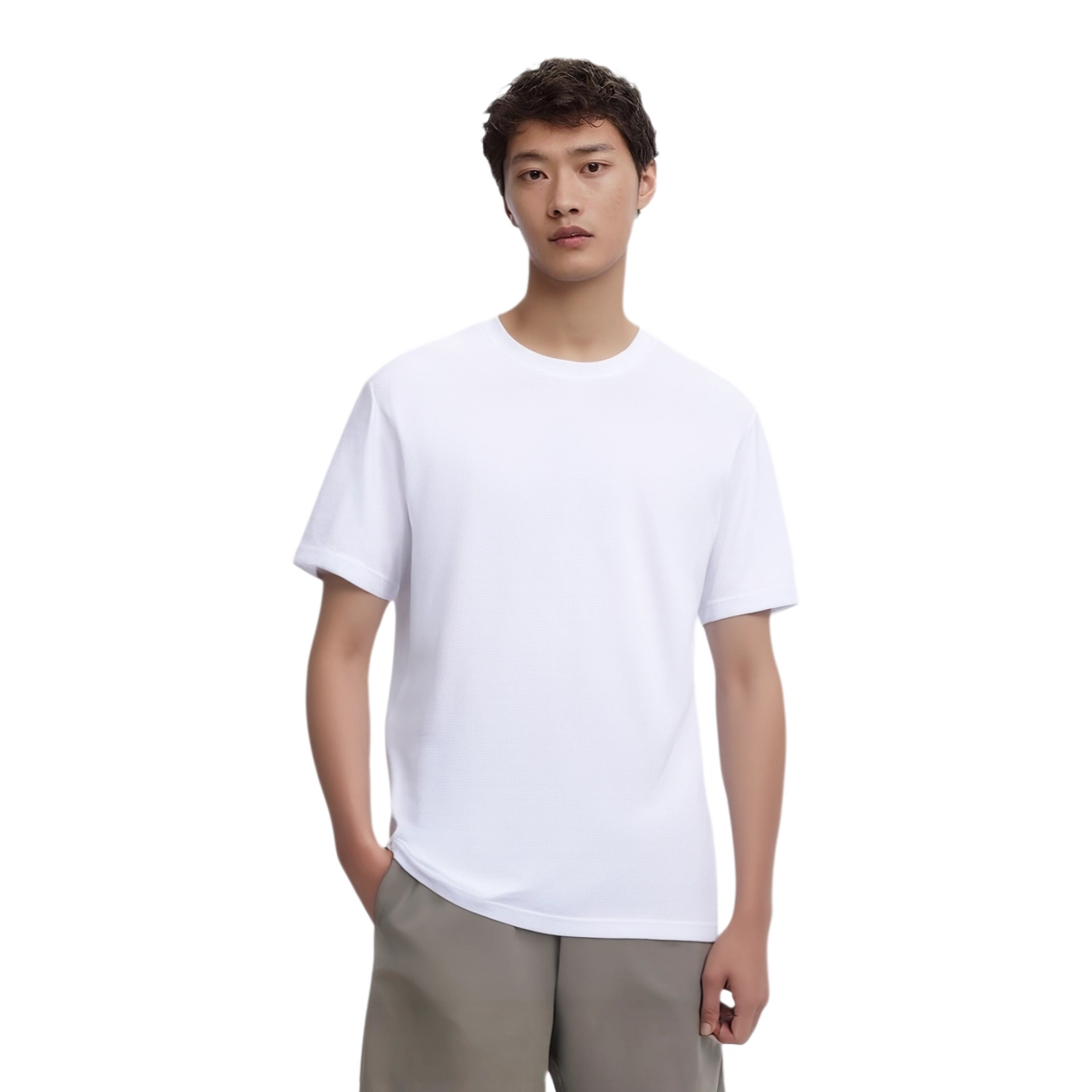 VanCamel T