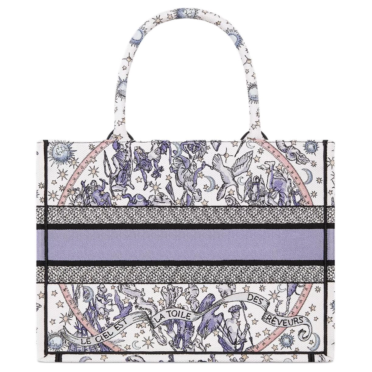 DIOR BookTote Tote