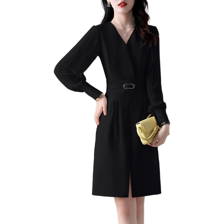 PIERRE CARDIN V