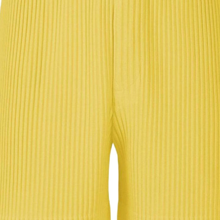 Homme Pliss Issey Miyake FW25
