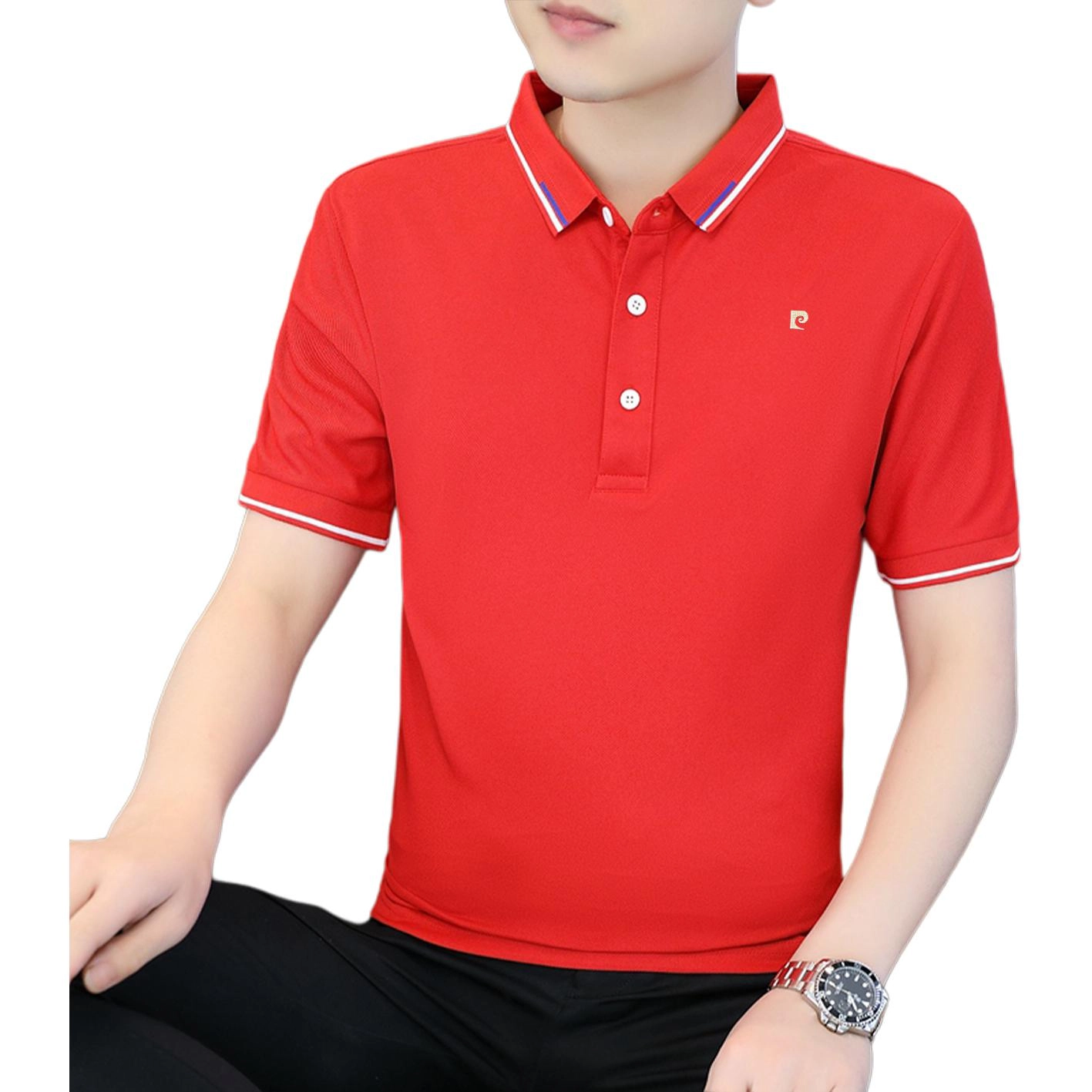 PIERRE CARDIN Polo