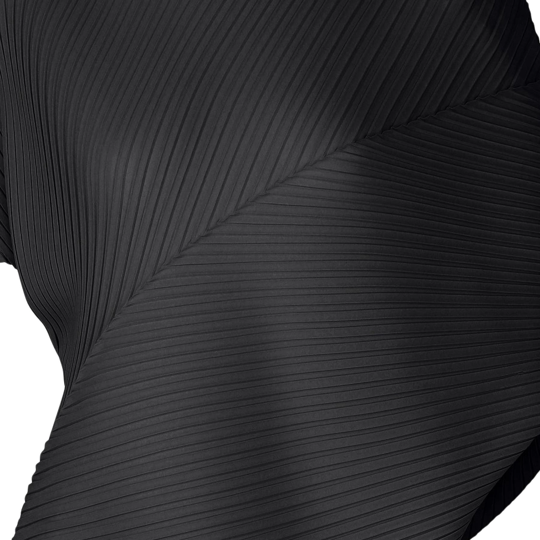 ISSEY MIYAKE FW25