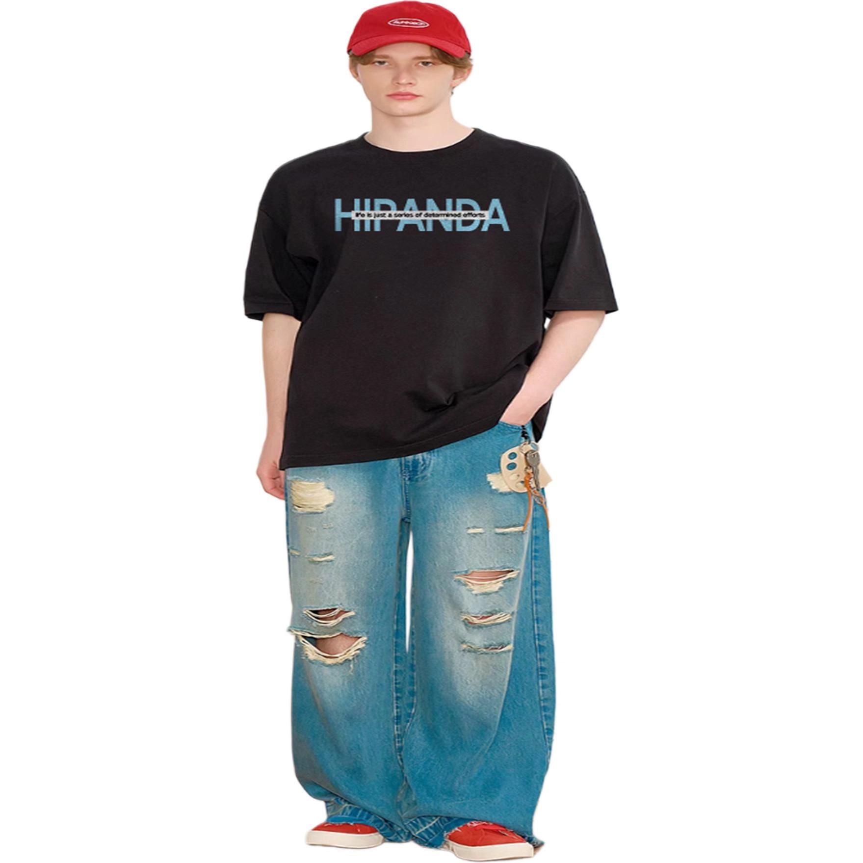 HIPANDA LogoT