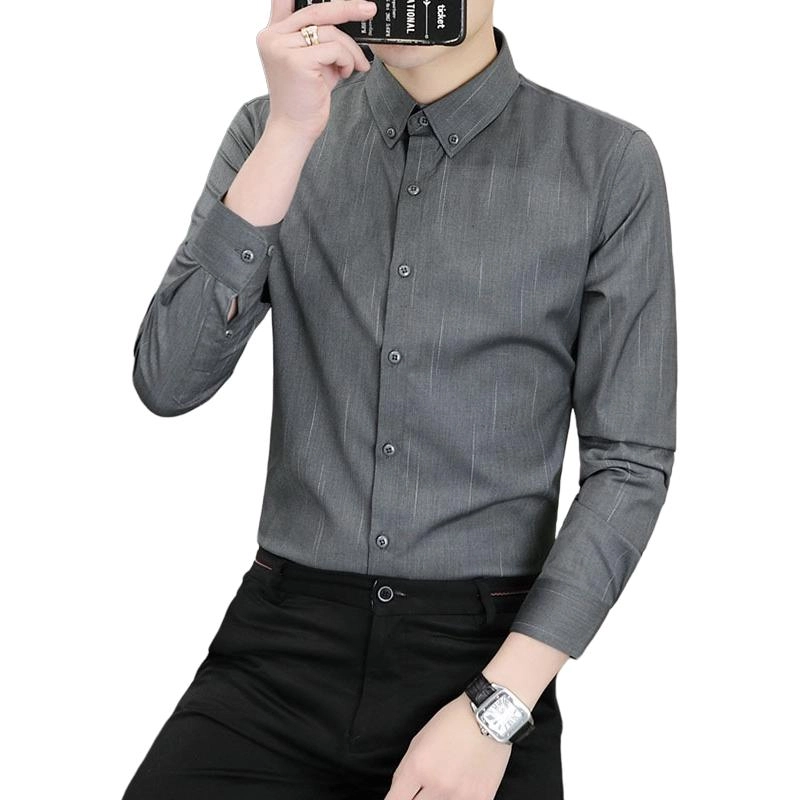 PIERRE CARDIN 2025