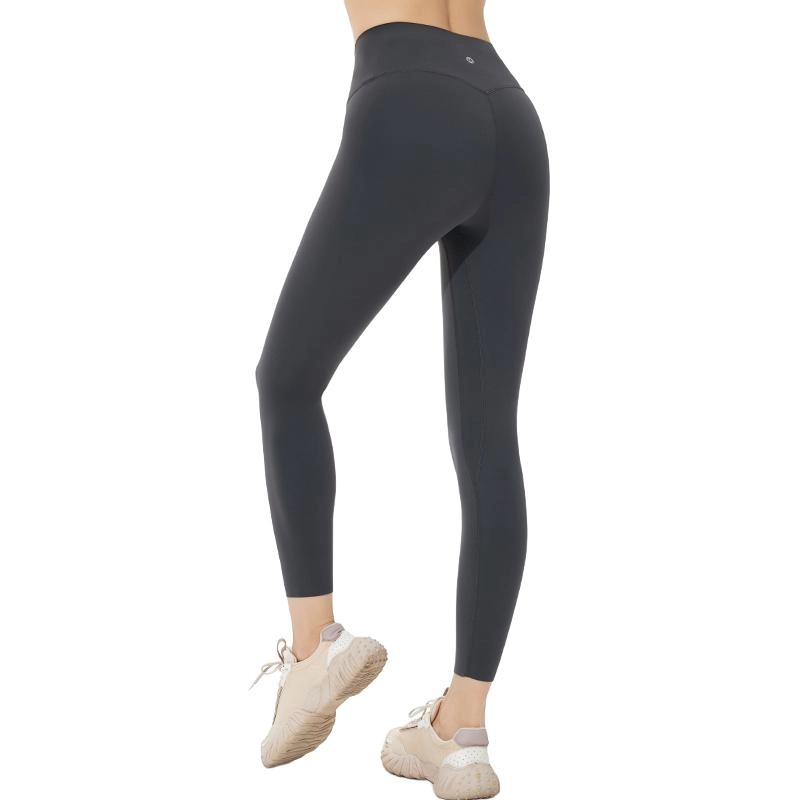 MOLY VIVI 2024