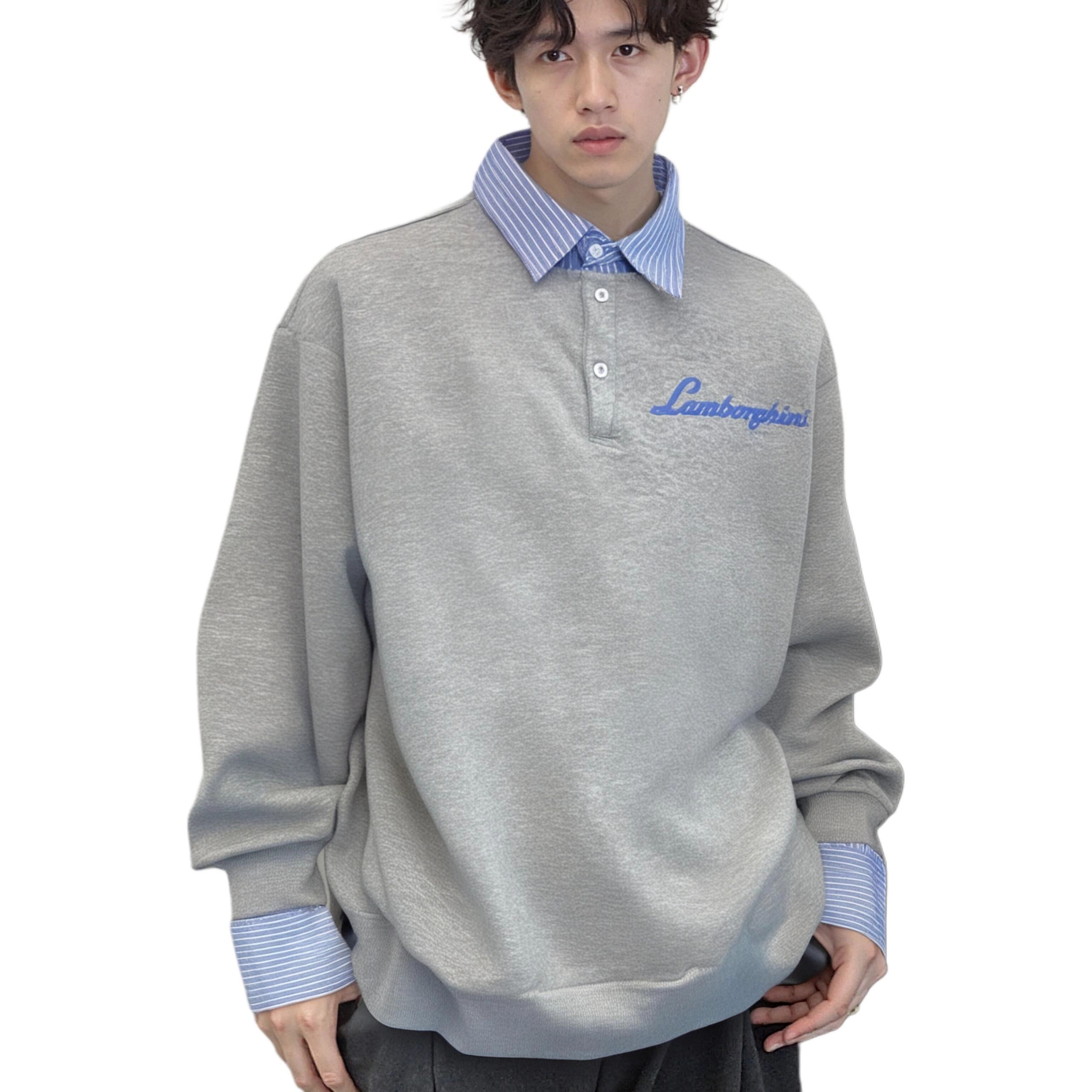 Automobili Lamborghini Polo