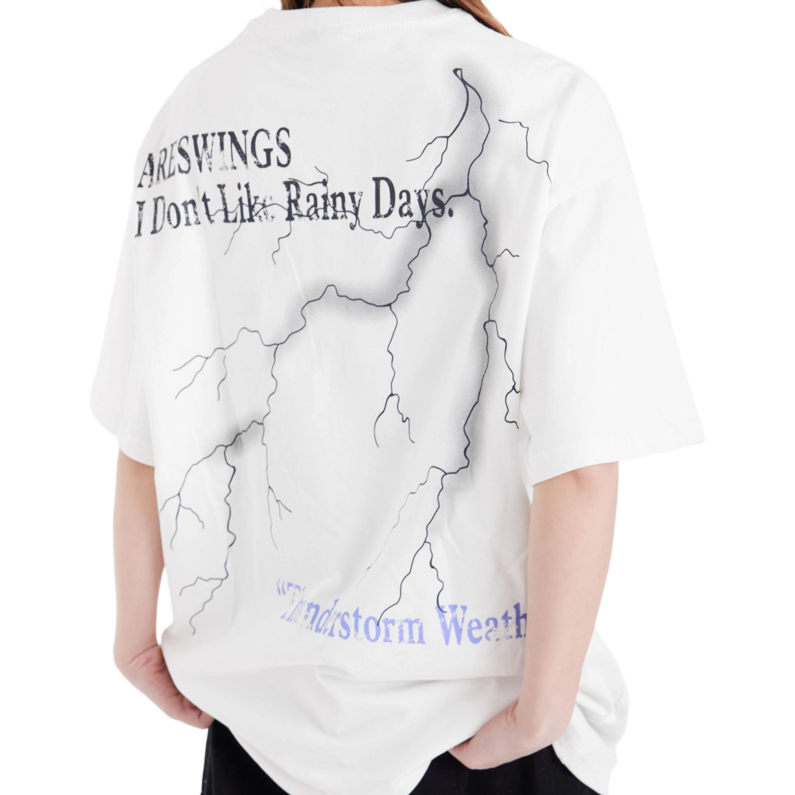 PAINT STAIN T