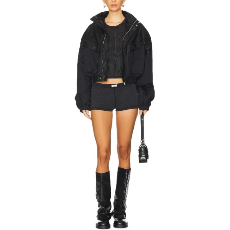 alexander wang T