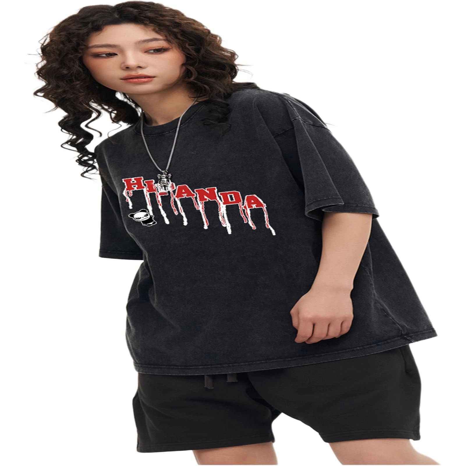 HIPANDA logoT