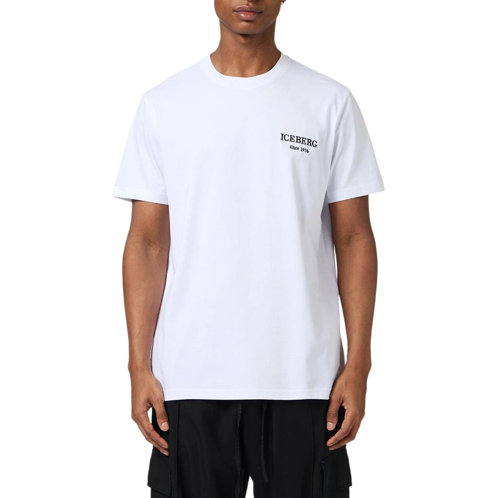 iceberg T