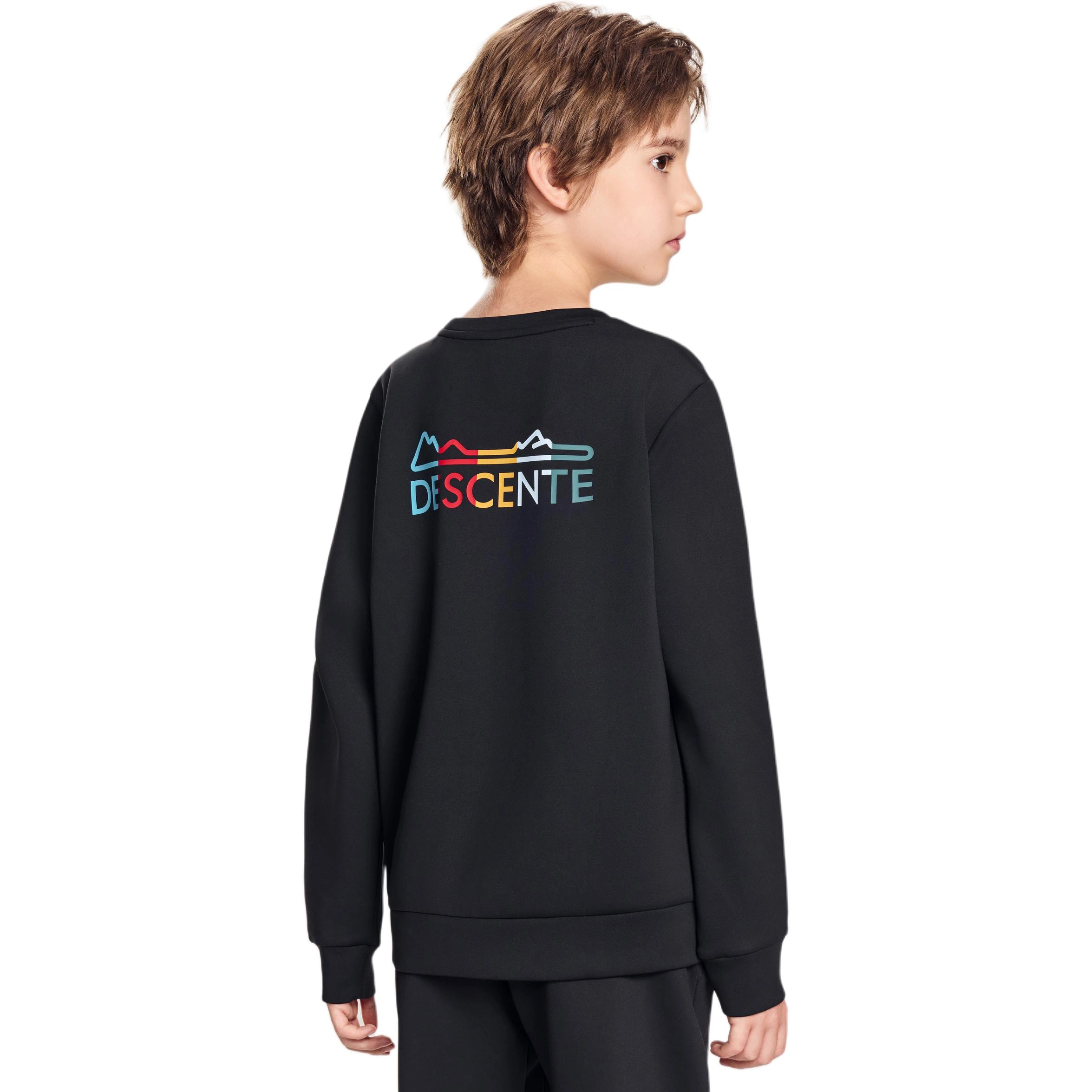 DESCENTE SKI STYLE SKI STYLE logo