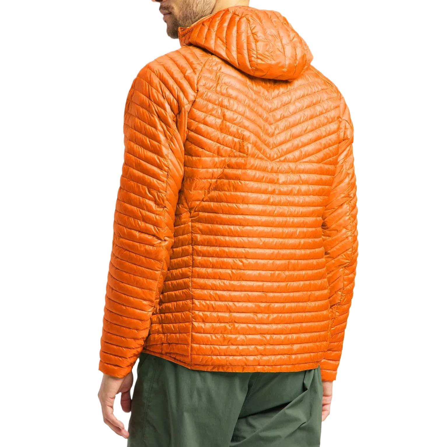 HAGLFS LIM Mimic