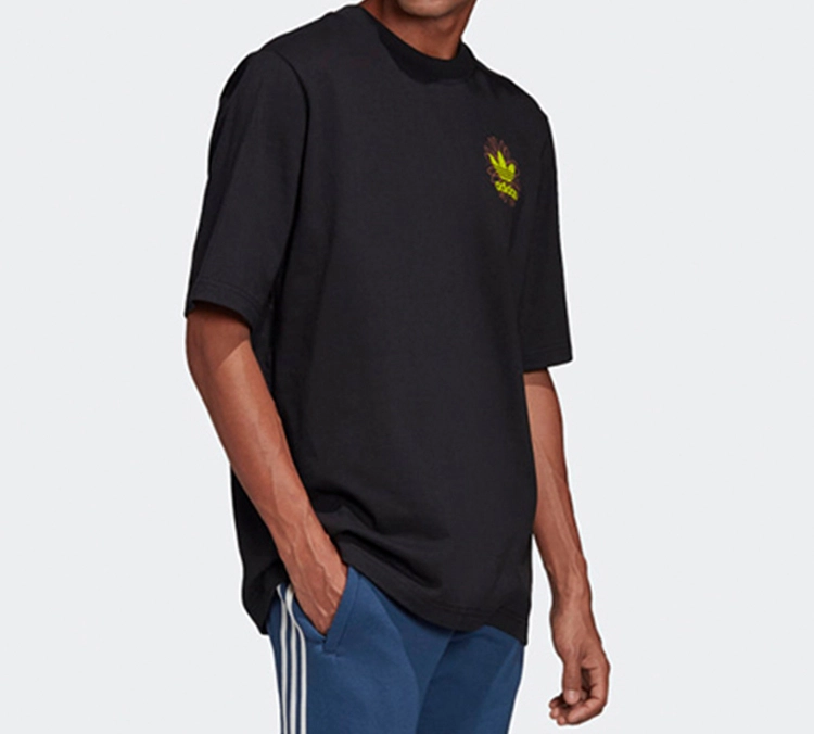 adidas originals Graphic Tee 2 T