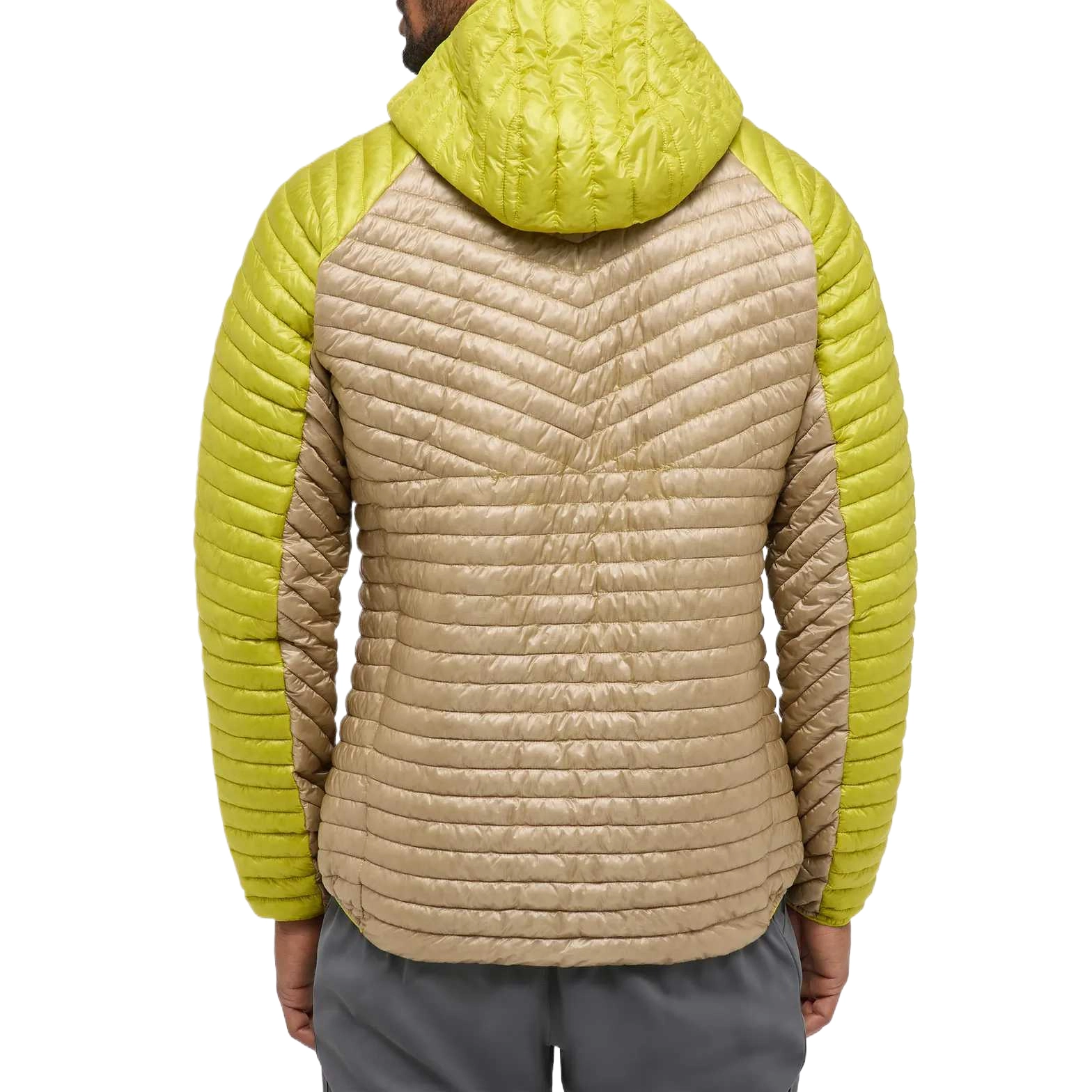 HAGLFS LIM Mimic