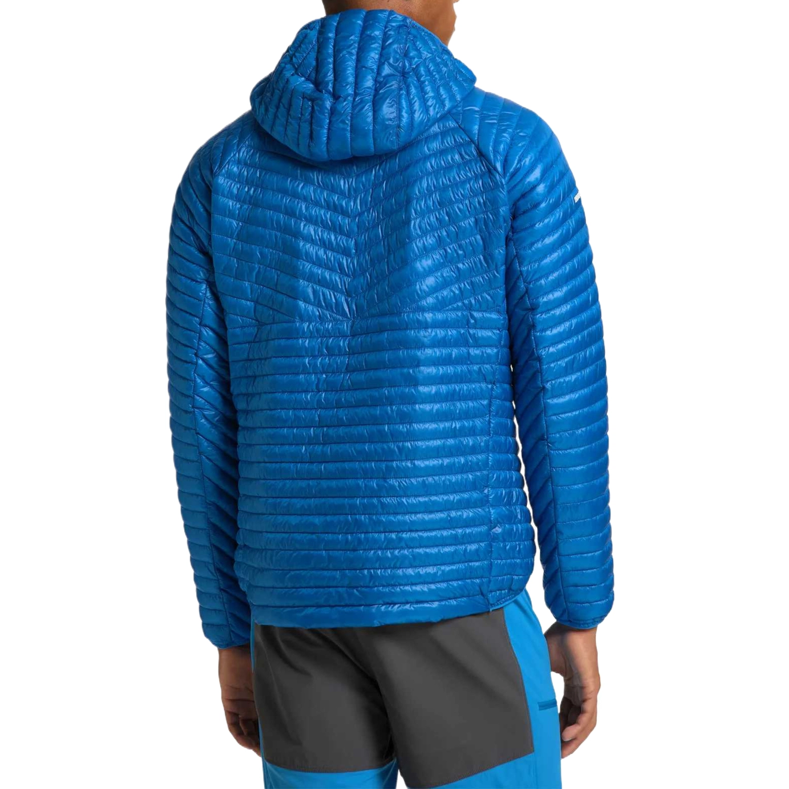 HAGLFS LIM Mimic
