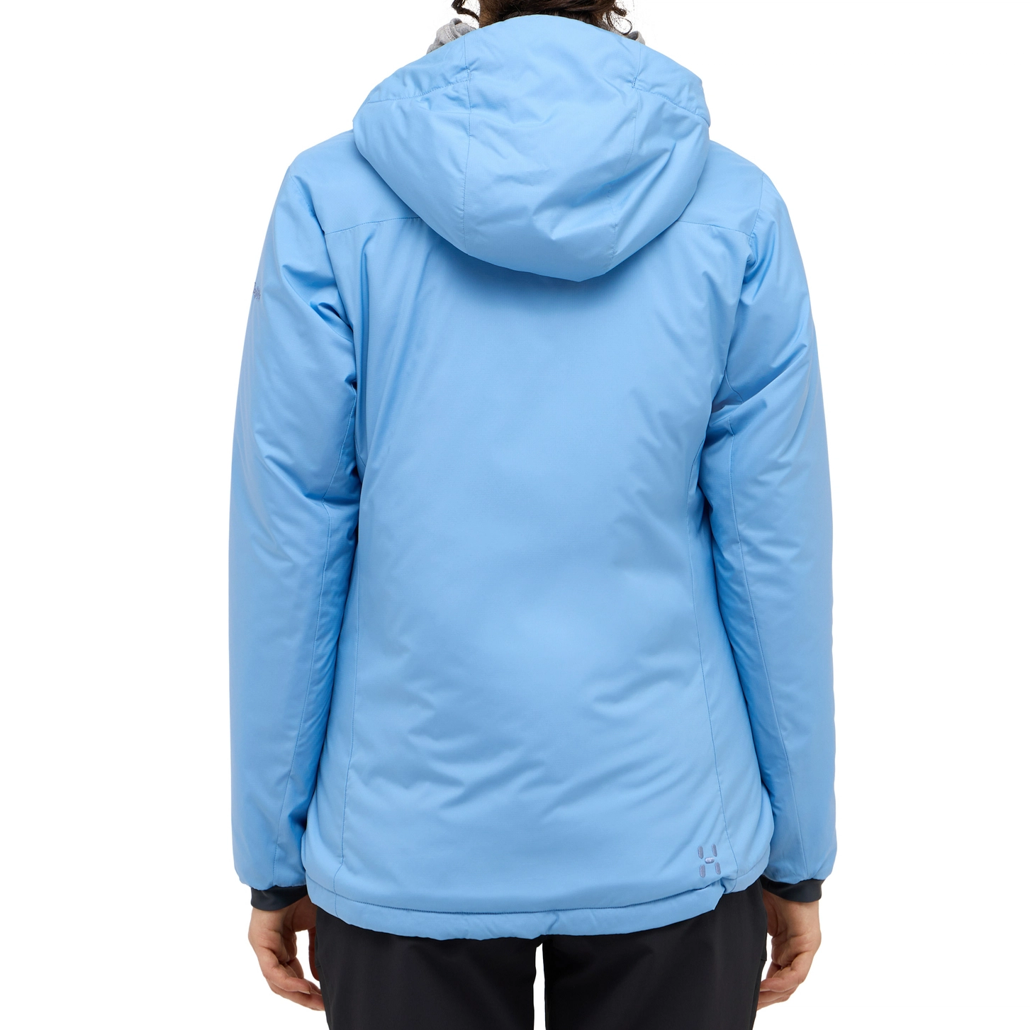 HAGLFS Mimic Alert Hood