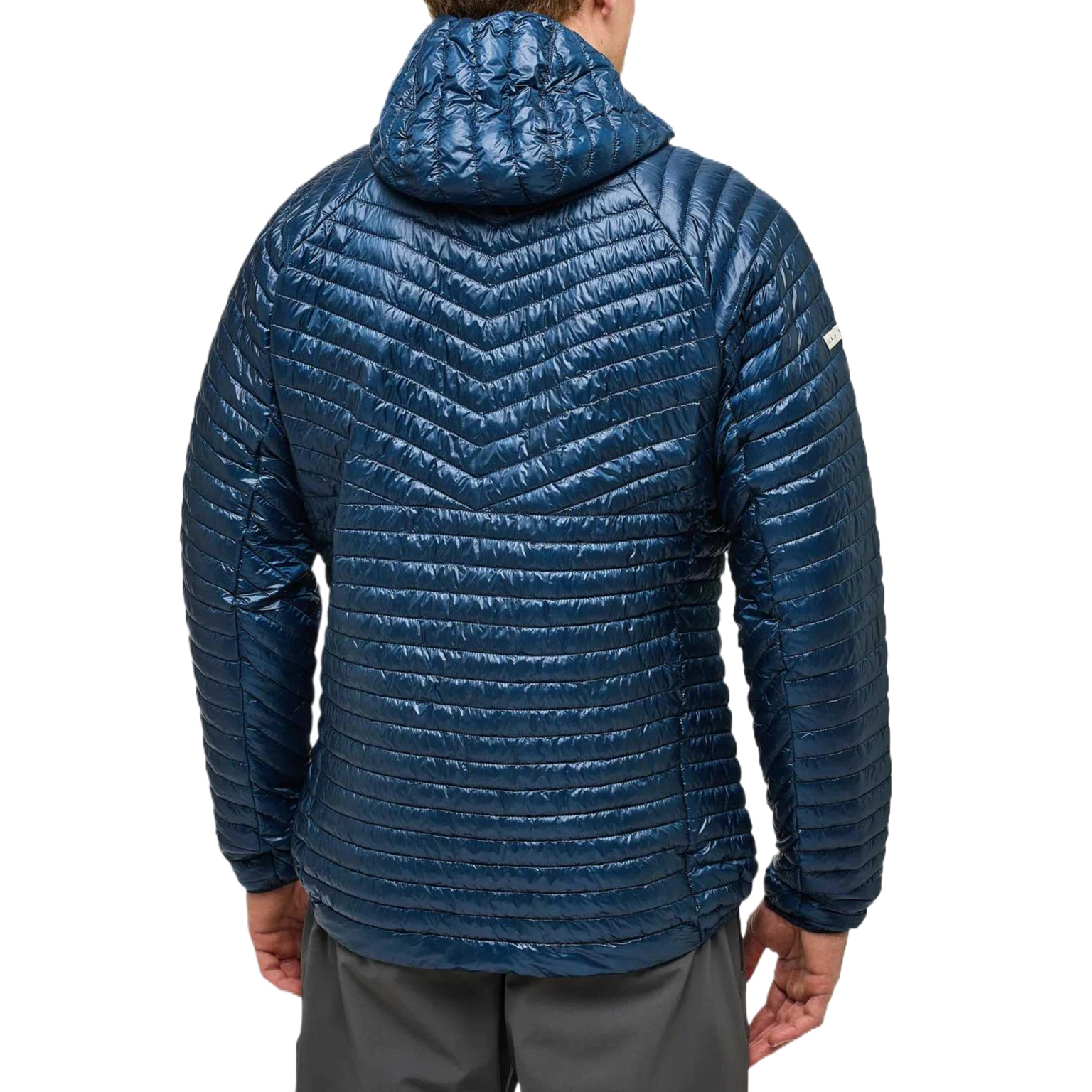 HAGLFS LIM Mimic