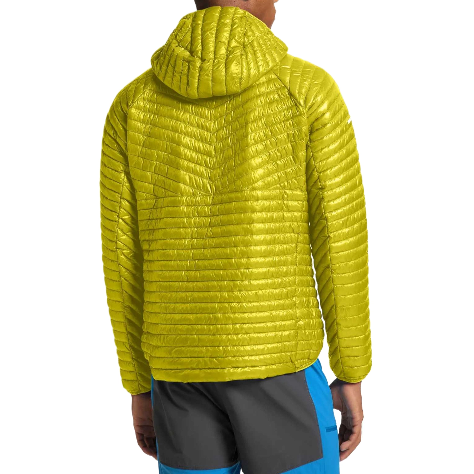 HAGLFS LIM Mimic