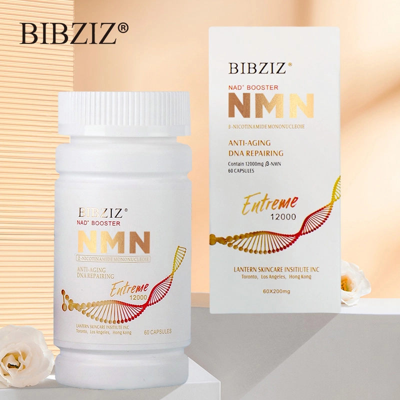 BIBZIZ 12000 60