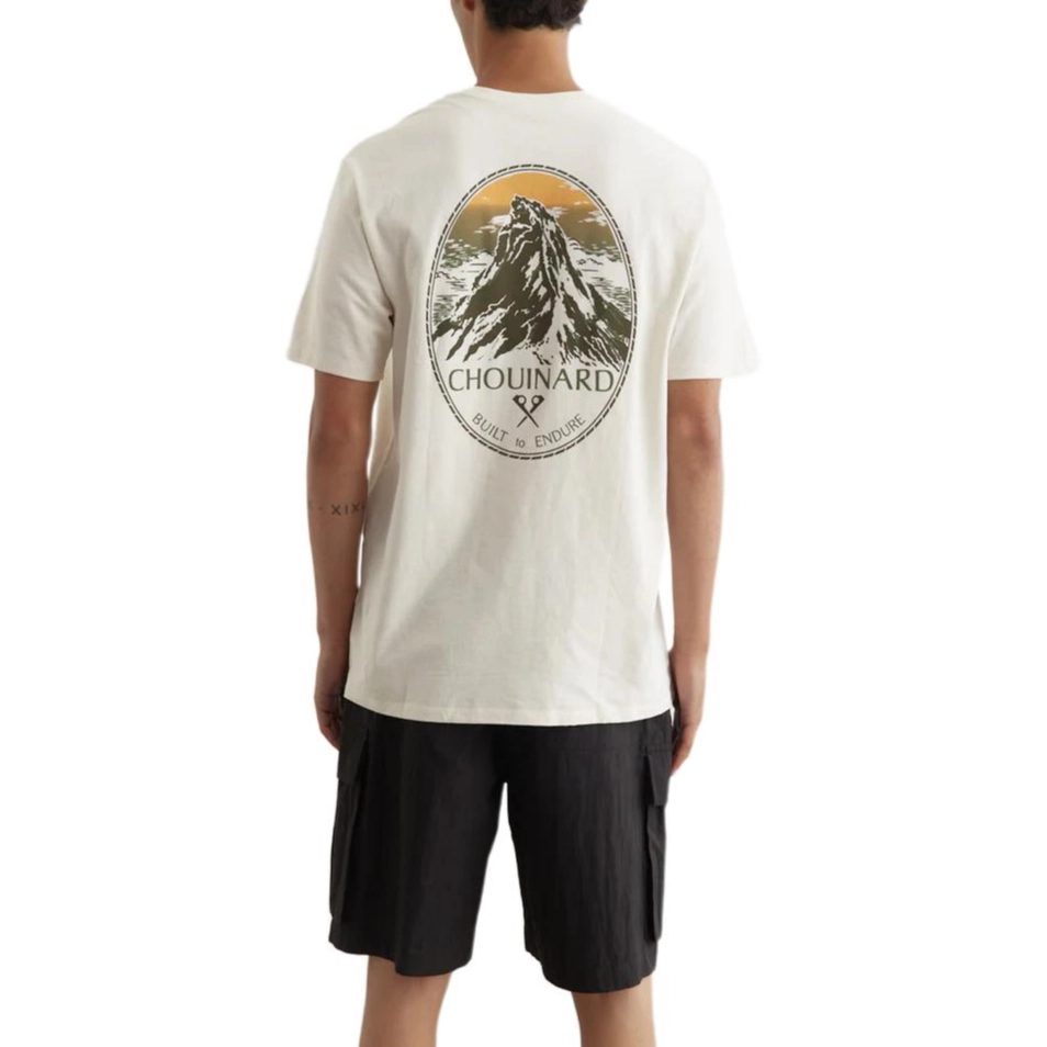 patagonia T