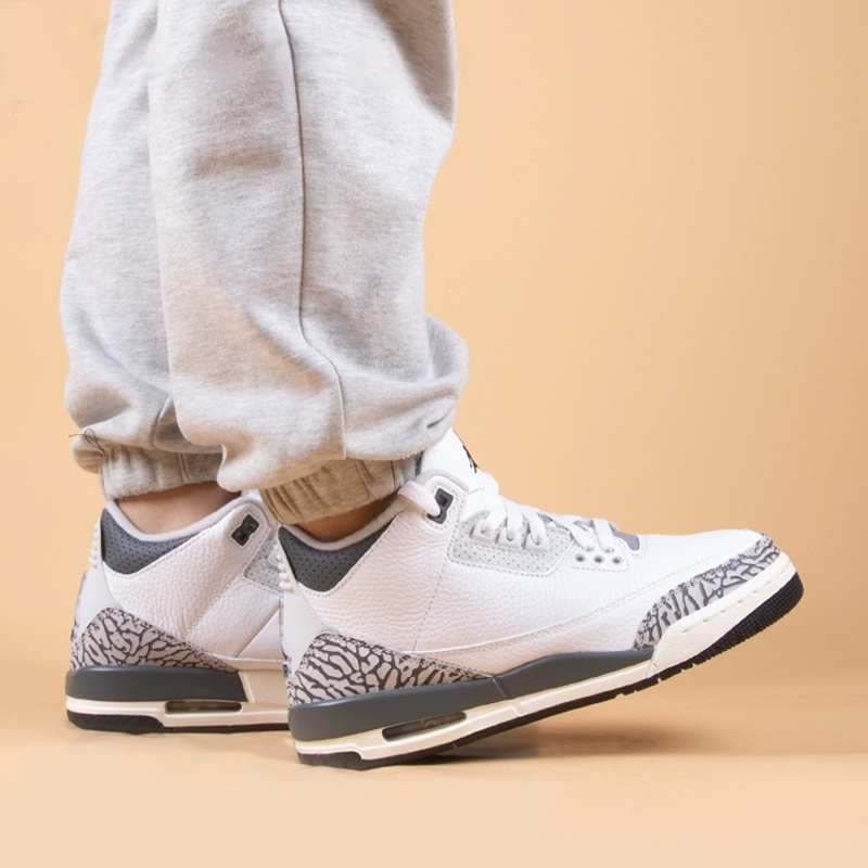 Jordan Air Jordan 3 Retro Hide N Sneak GS