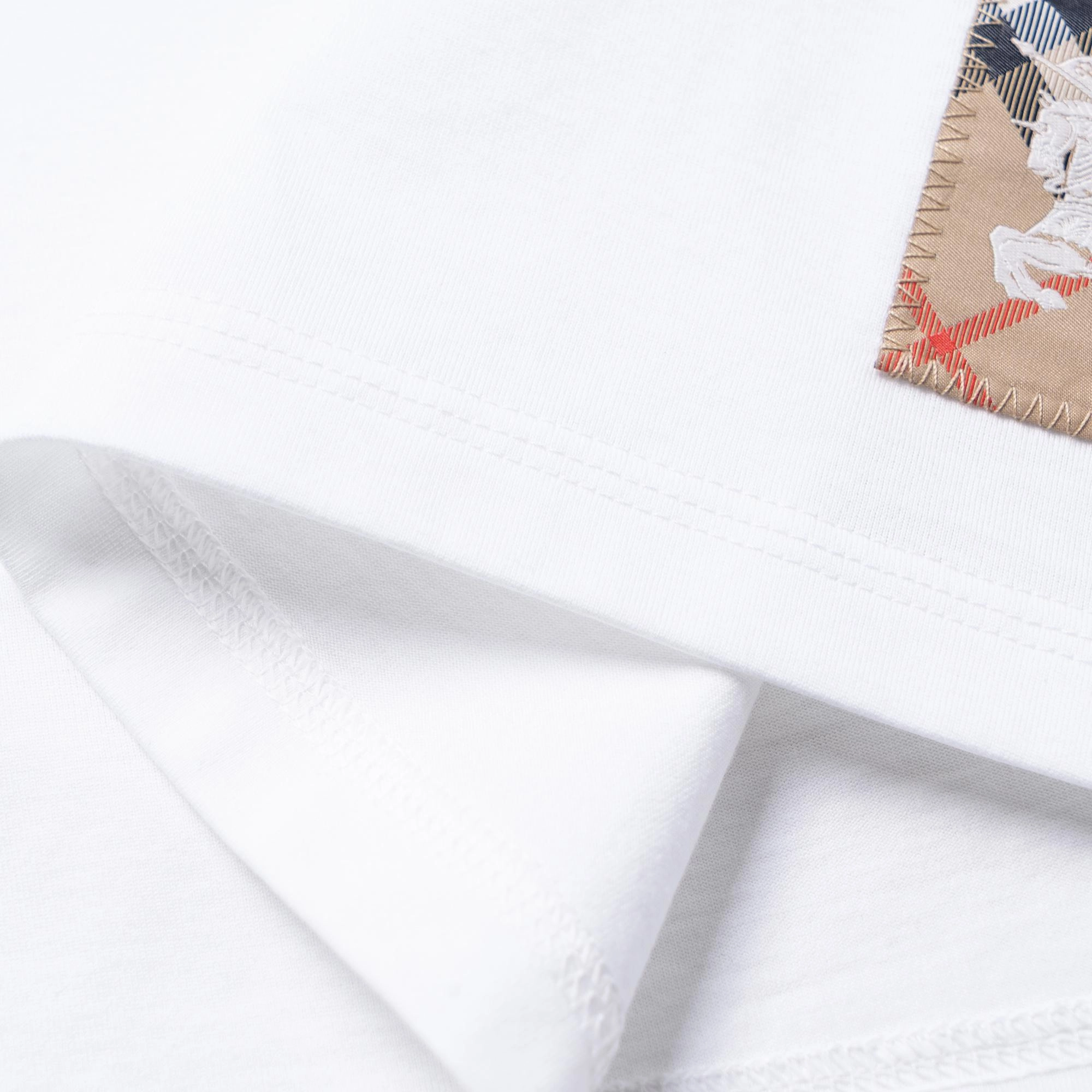 Burberry FW24 T