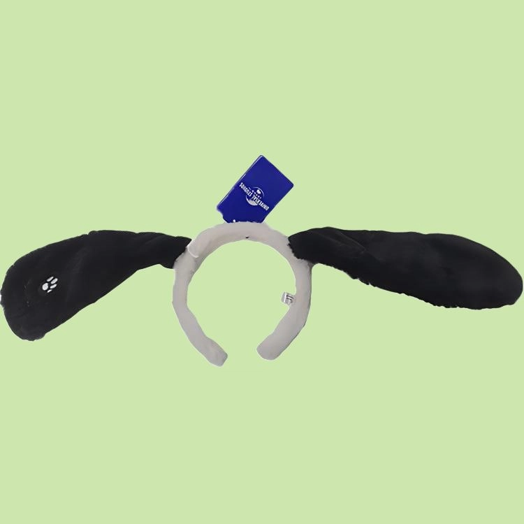 IP