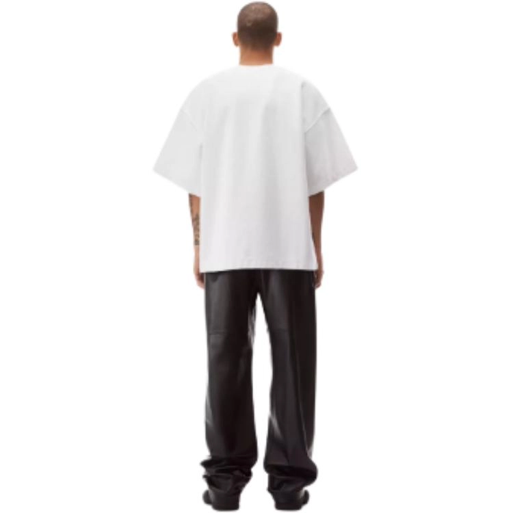 alexander wang T
