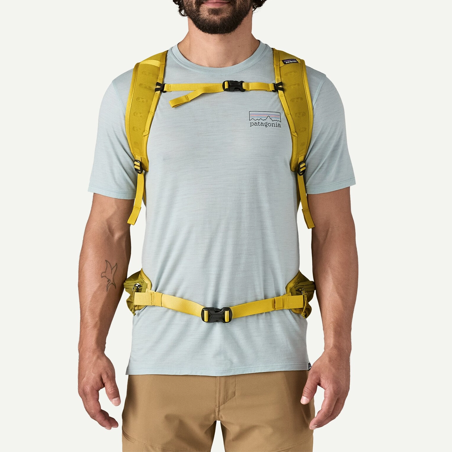 patagonia Terravia22L