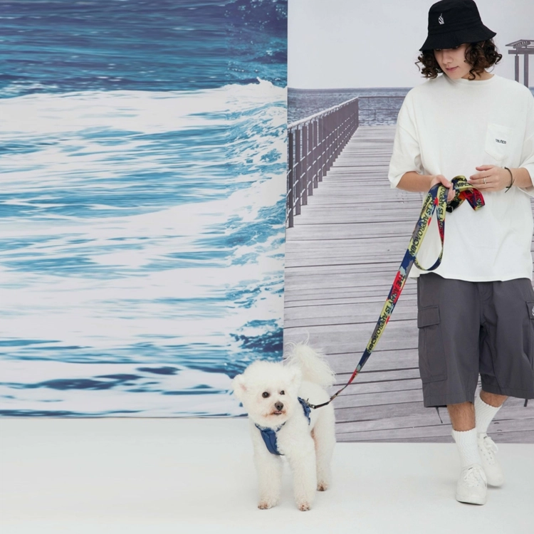 nautica white sail T