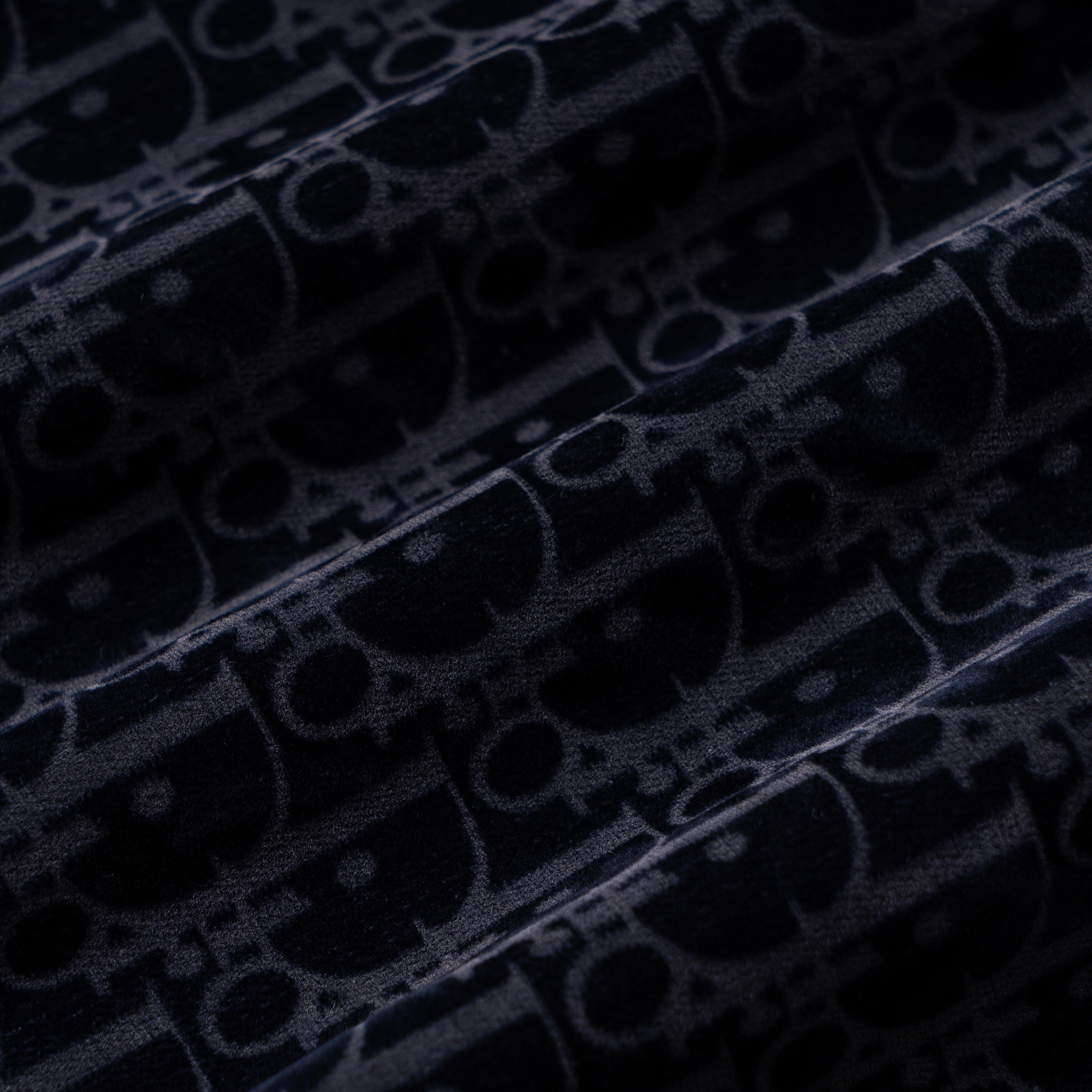 DIOR FW22 Logo