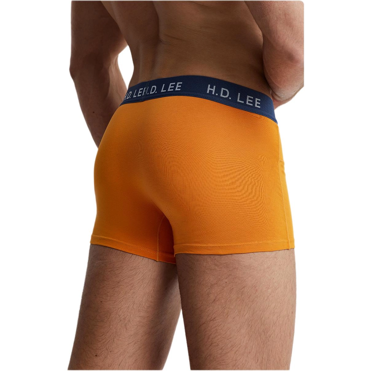 Lee 4