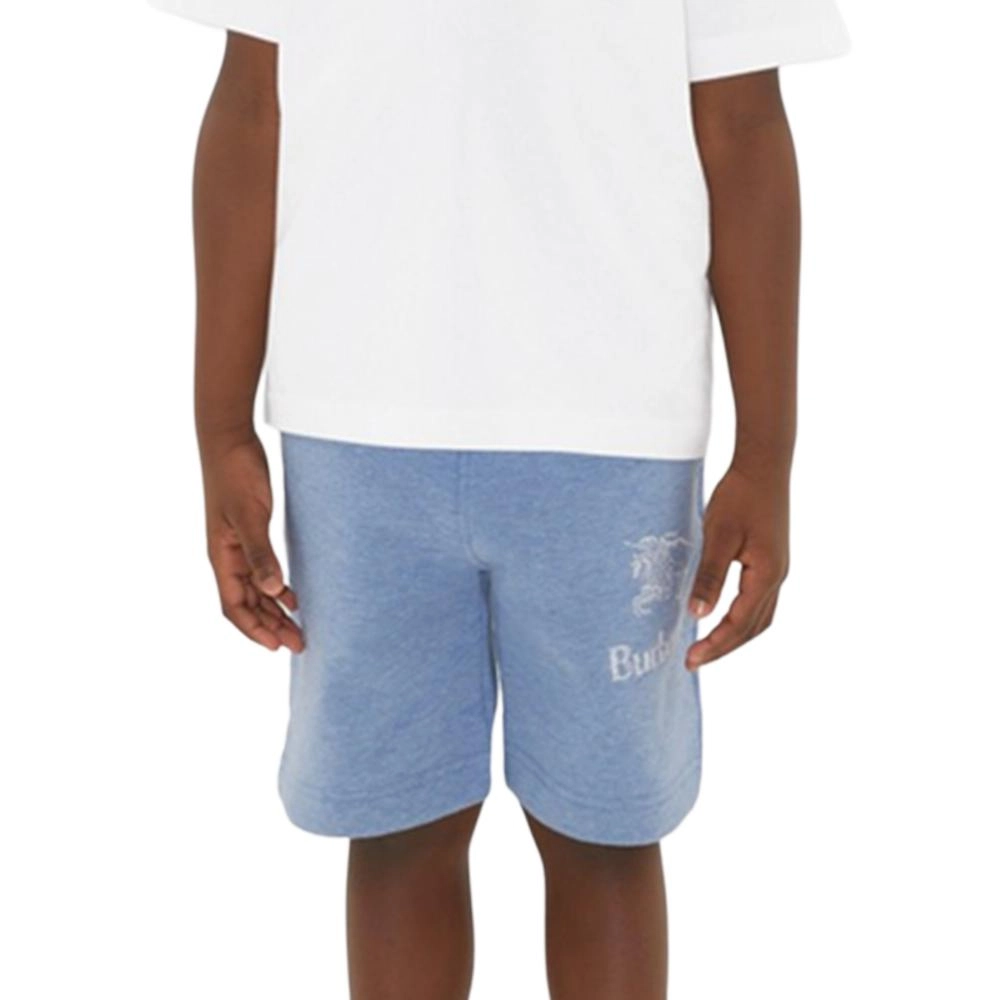 Burberry SS24 LogoT