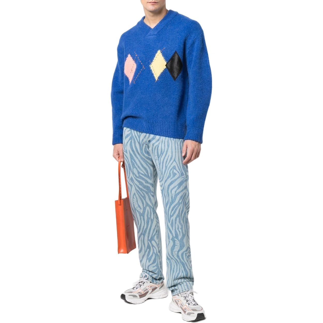 ADER ERROR V