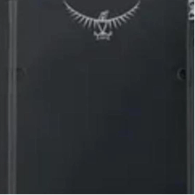 OSPREY 38L Transporter 20