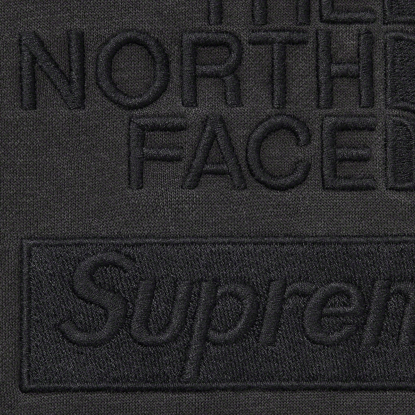 Supreme FW22 Week13 Supreme Pigment Printed Hooded Sweatshirt