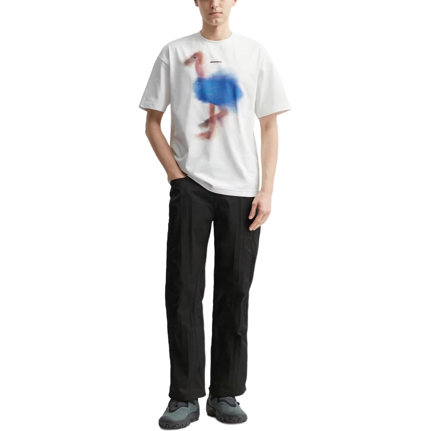 ADER ERROR T