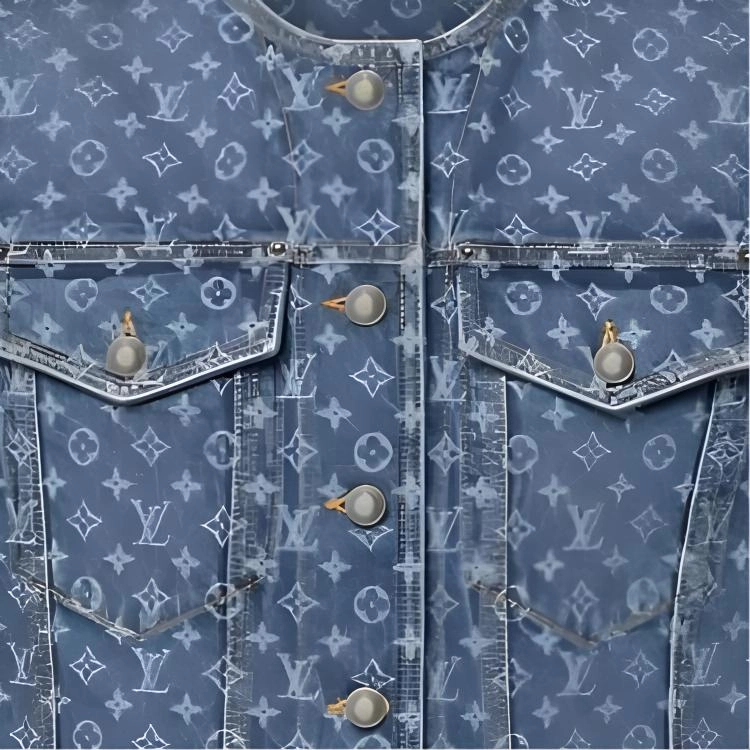 LOUIS VUITTON SS25 Monogram