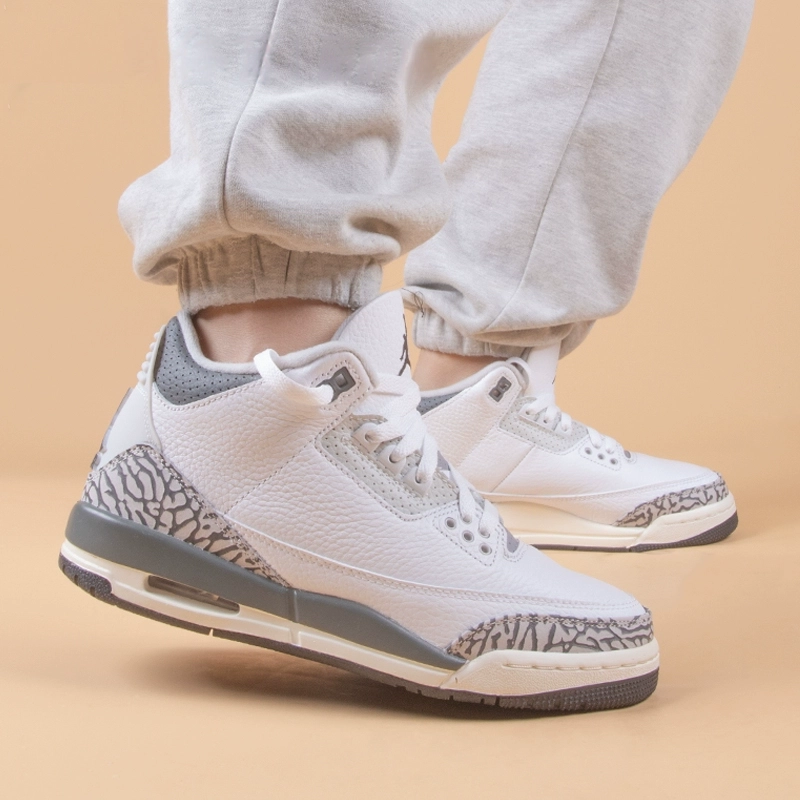 Jordan Air Jordan 3 Retro Hide N Sneak GS
