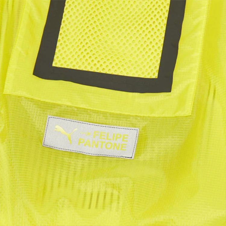Puma x FELIPE PANTONE Logo