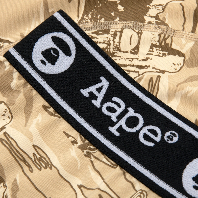 Aape 1